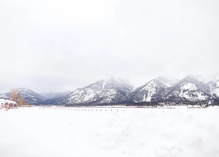 Tammah Jackson Hole
